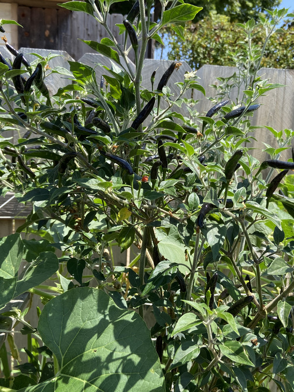 08258D0E-AA1B-48AB-ACB0-73C60A8974B3