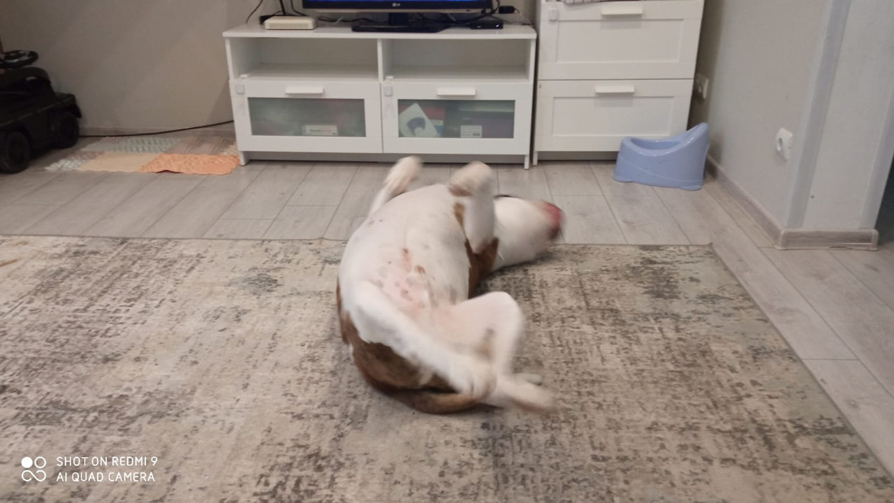 B36D9FDA-82FC-4A55-8A5B-118034D63BA9