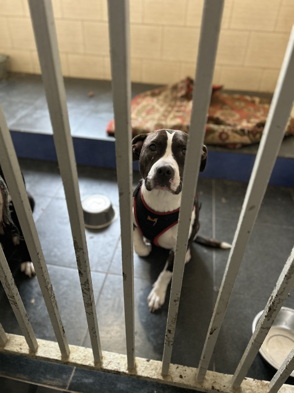 77317AFD-DCA6-4795-A2BA-C297622F62C1