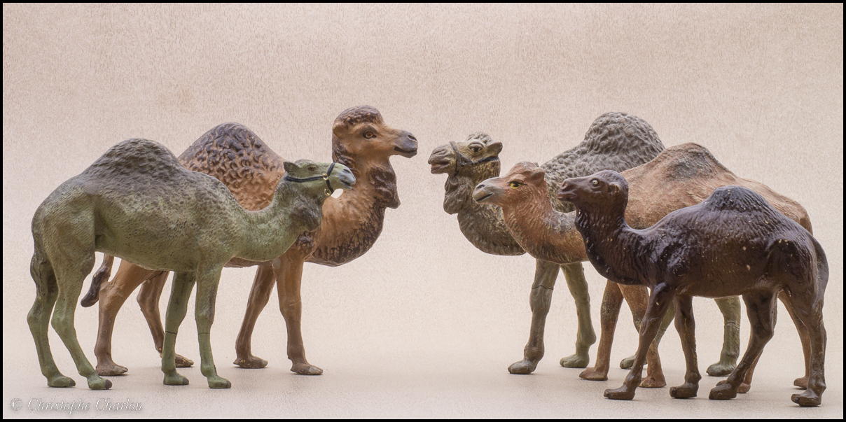 Bactrian camels and dromedaries by Lineol and Elastolin Composition-camels-3