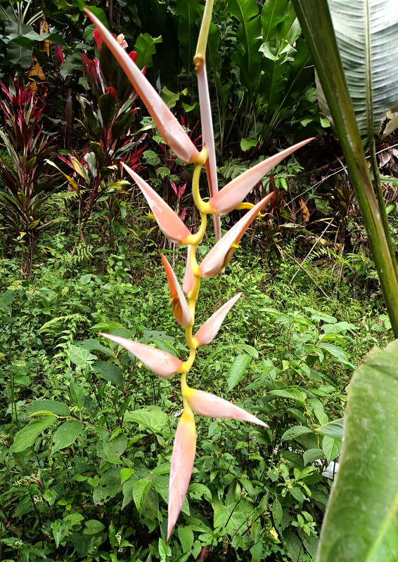 437541486_8693363754023464_3028571168784954960_n