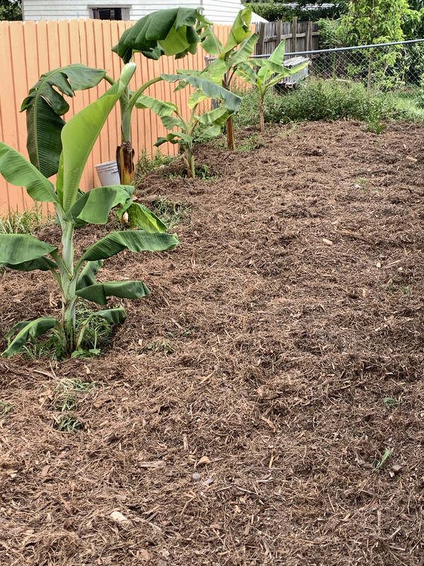 D5D3AA67-B0FF-46B0-84F0-E77999547541