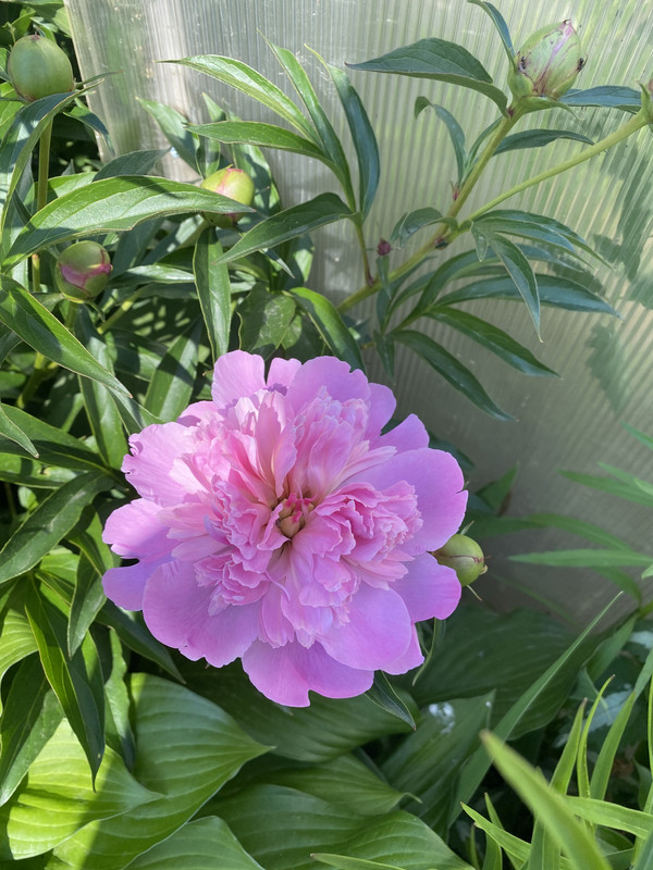 684FE149-D643-4DDB-8B1D-76540A0DD79D