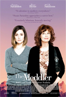 The meddler (2015).mkv BDRip 480p x264 AC3 iTA