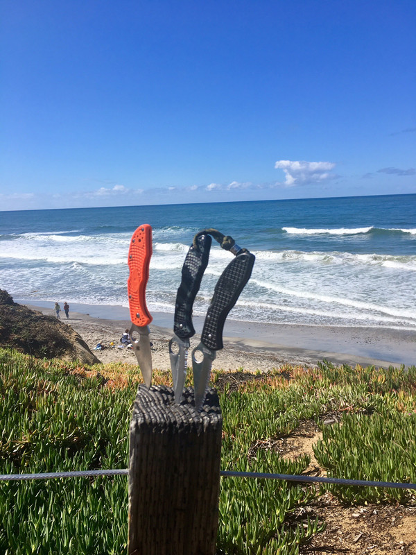 108F849C-E766-4F35-B7DD-86DE42C2F4DE