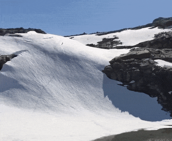 daily-gifdump-3393-17.gif