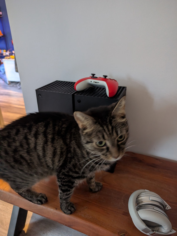 PXL 20260213 163102450