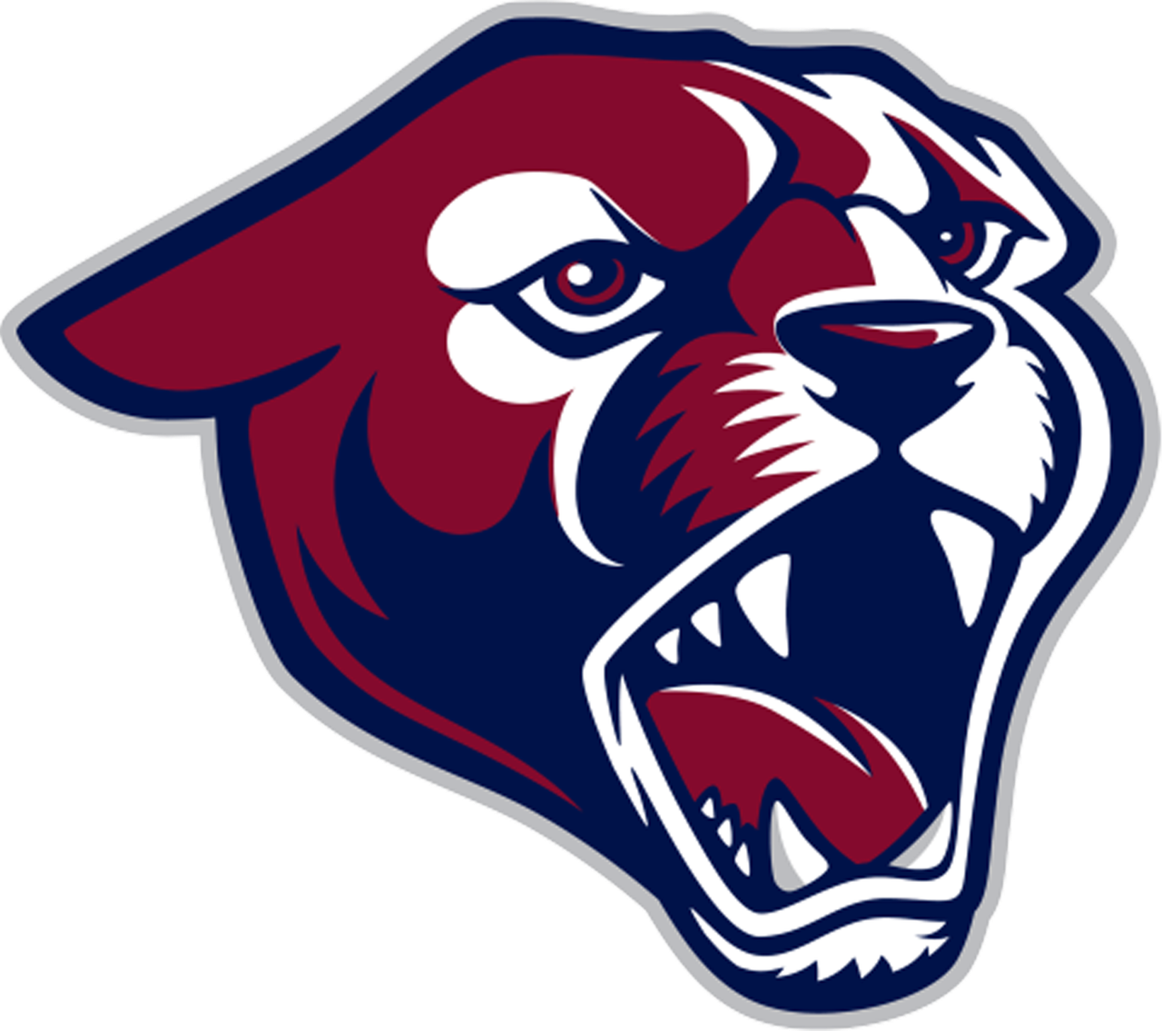 Perry logo