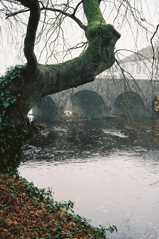 4FA5E1B4-97F8-44FE-BD94-C21E4179D50F