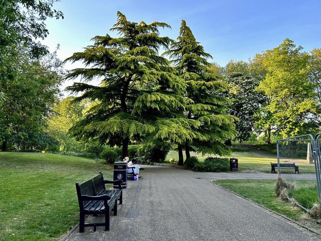 Пёстрая лента. Путешествие по сельским дорогам Англии в мае 2025 г.