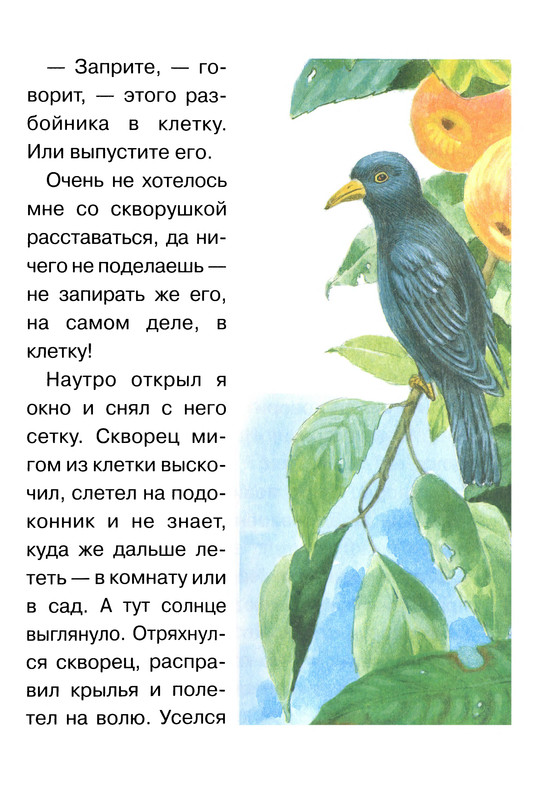 p0060