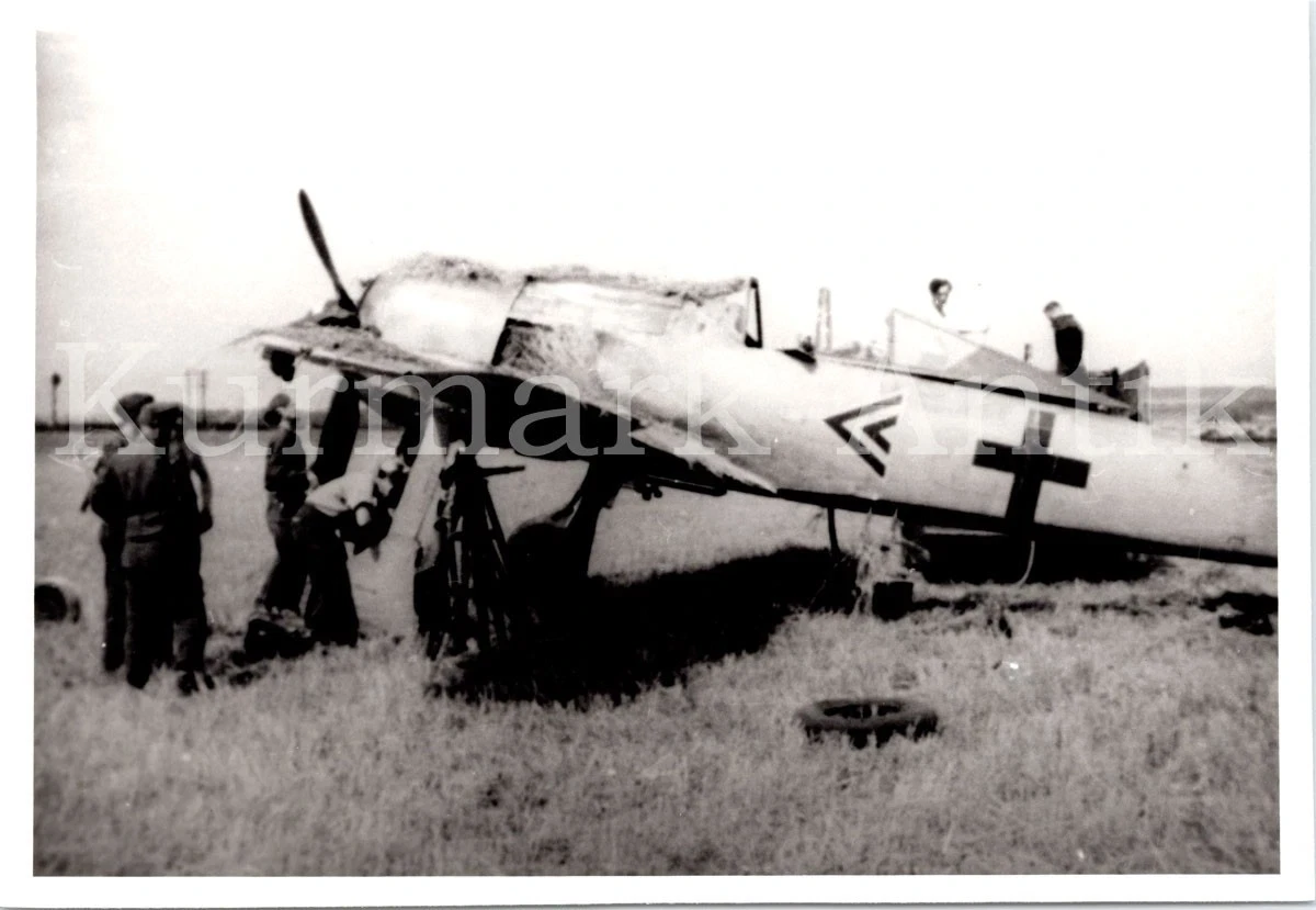S182 Photo Wehrmacht Archive Repro Luftwaffe Aircraft Fw190 KDR Angle ID