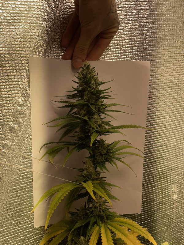 görsel 2026 03 05 181550738