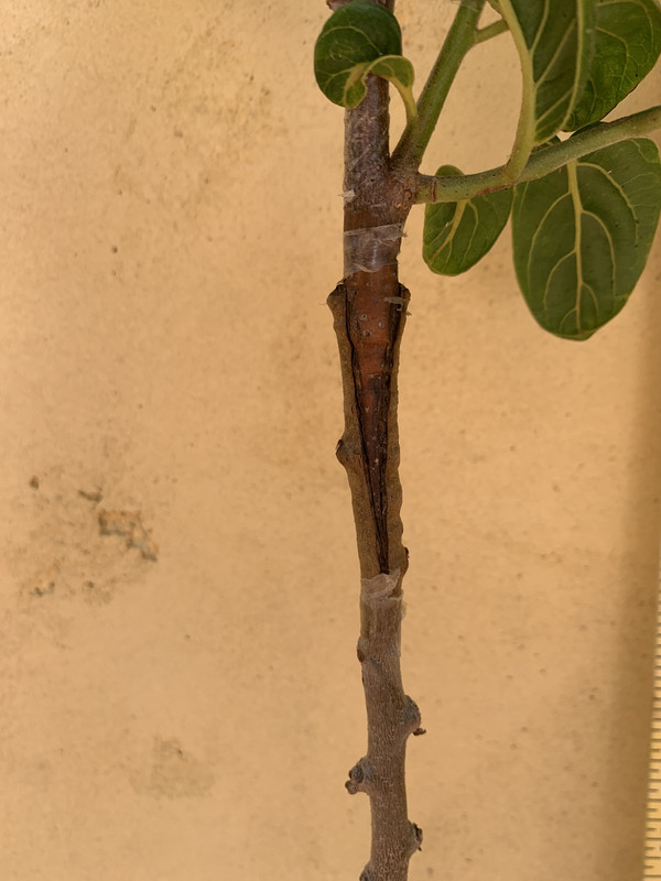 57D6864F-2C34-4B36-9289-4F4DB123E59B