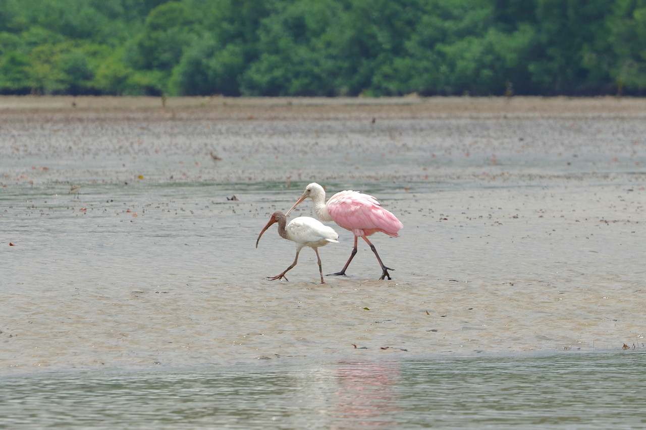 Fieldwork photo 3