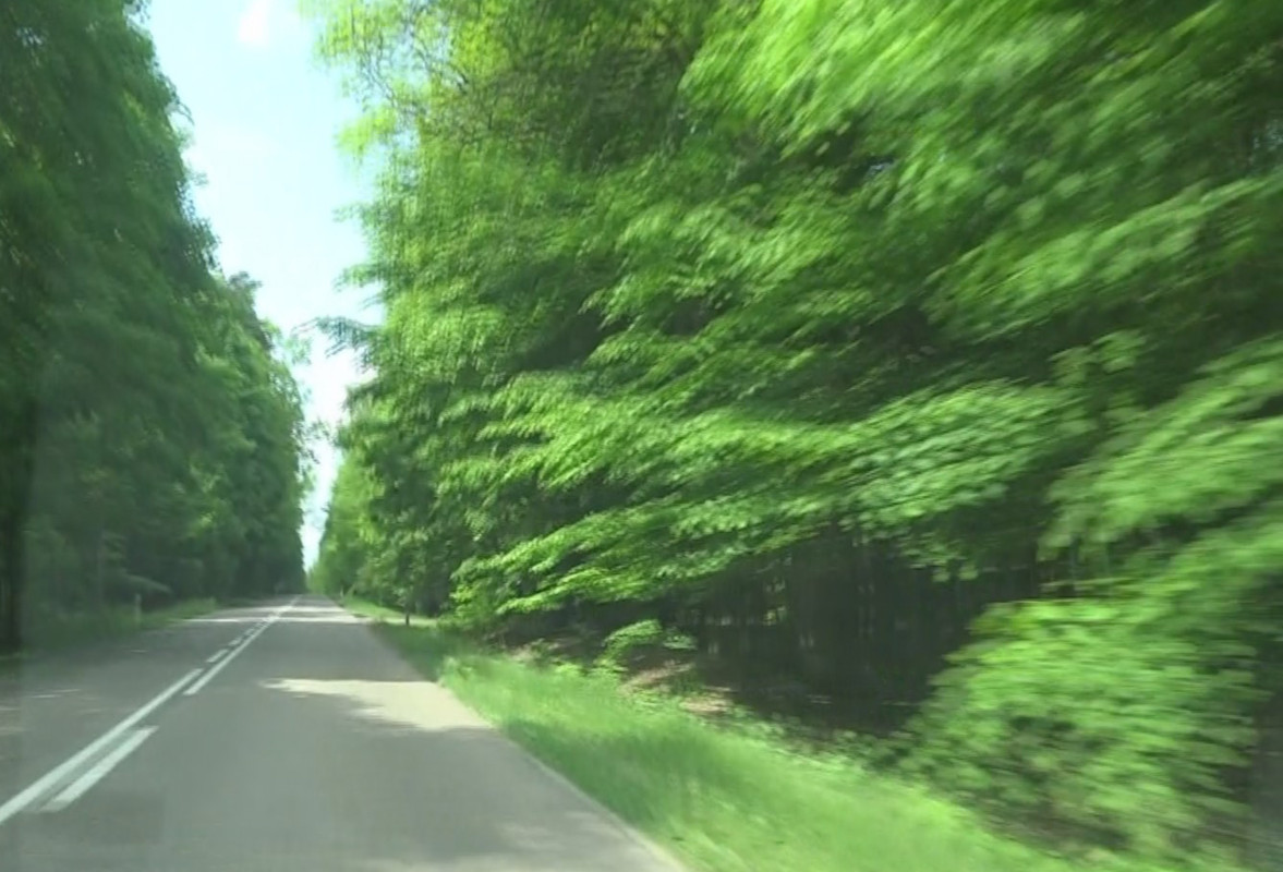 01 - Untitled_000063 (Czesio1)