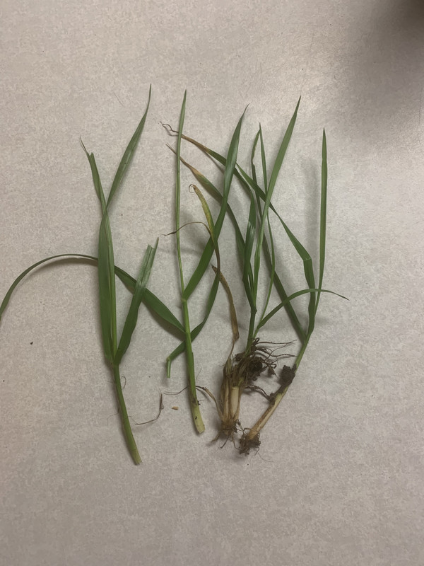 3A4C5E08-F431-443E-B60C-897965EA8FD5