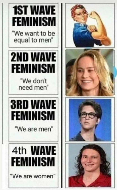 lib trans violenz) (3)