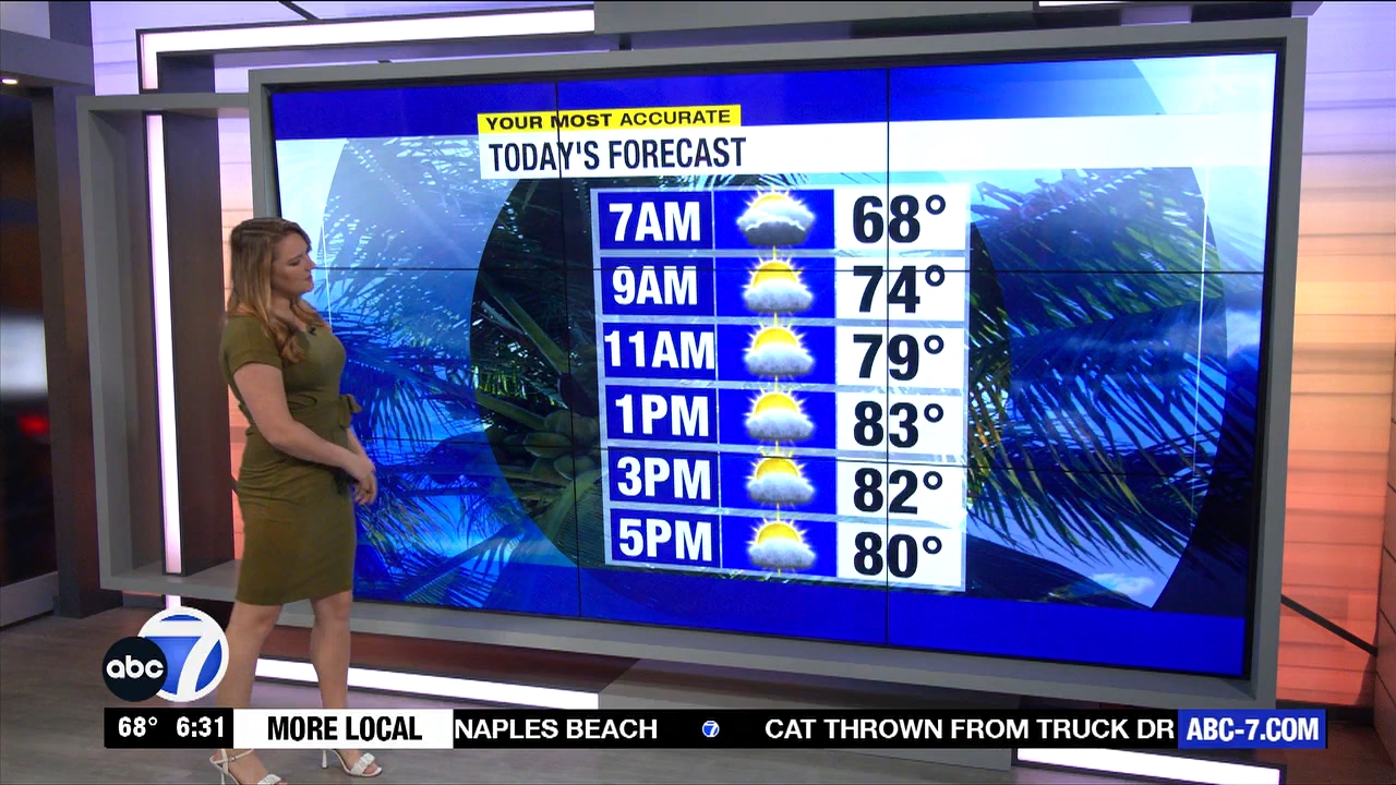 ABC7 More in the Morning Wkn 6am Su_20231126_11001200.ts_snapshot_31.23.144