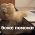 https://i.postimg.cc/BvnD2QpM/0-291.png
