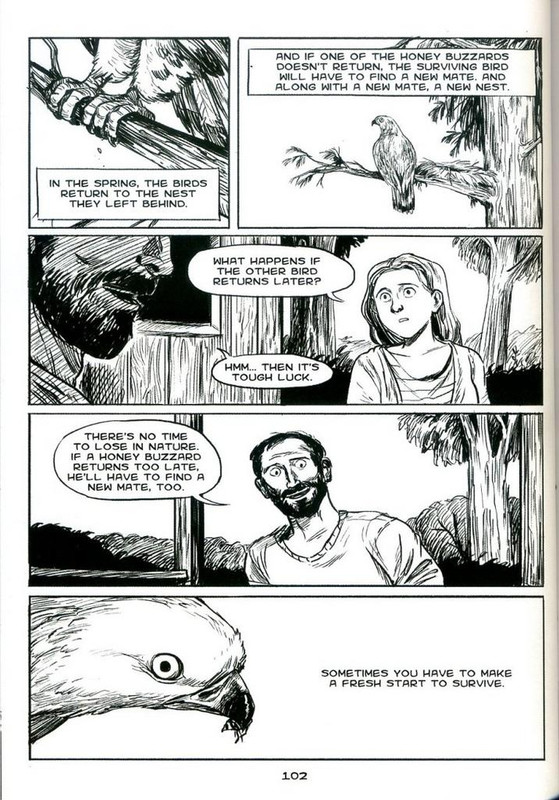 Aimée-de-Jongh-The-Return-of-the-Honey-Buzzard-1