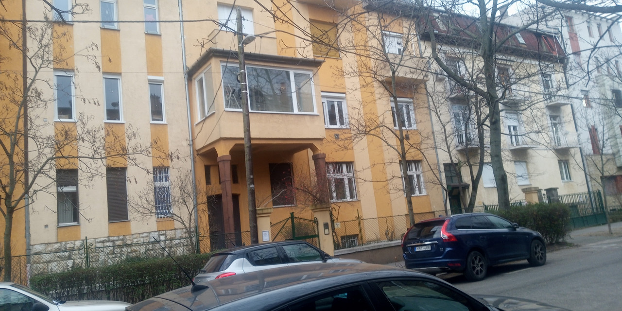 Kép