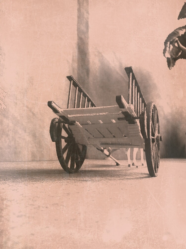 Carro Manchego 04