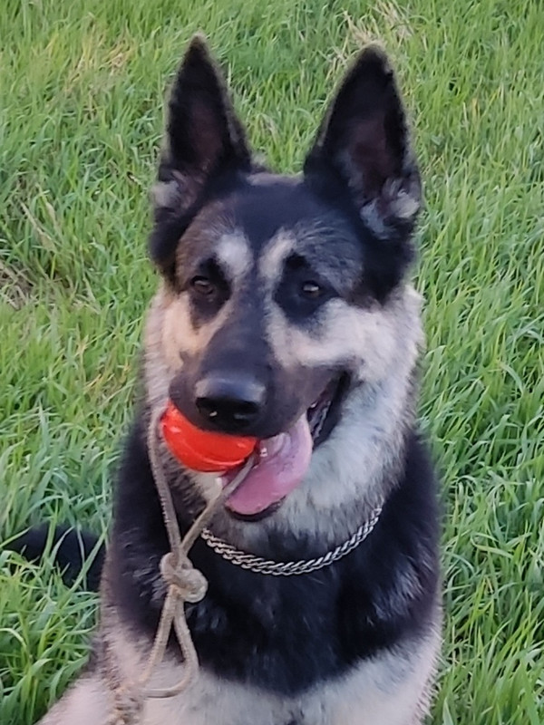 8DkmaTaM3a1Y_jyO38vWmJLSZS_ZUjcGIV816AQqMyrKDg3sUFX9Y3_GIF2oEgfmuMPumNQRRbgXWK6ch6gwEcd6