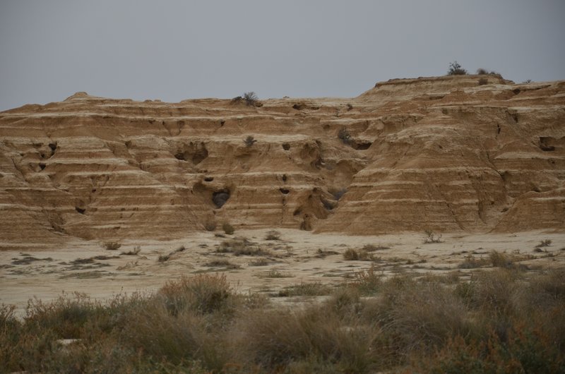 Navarra y sus pueblos-2015 - Blogs de España - Las Bárdenas Reales-15-11-2015 (60)