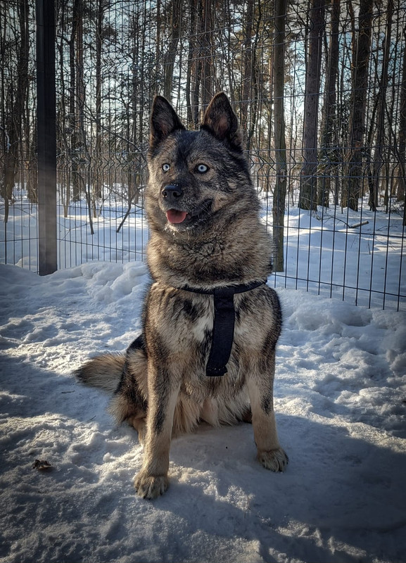 D1D20B8C-9068-4761-9A2A-29462C62D3EE