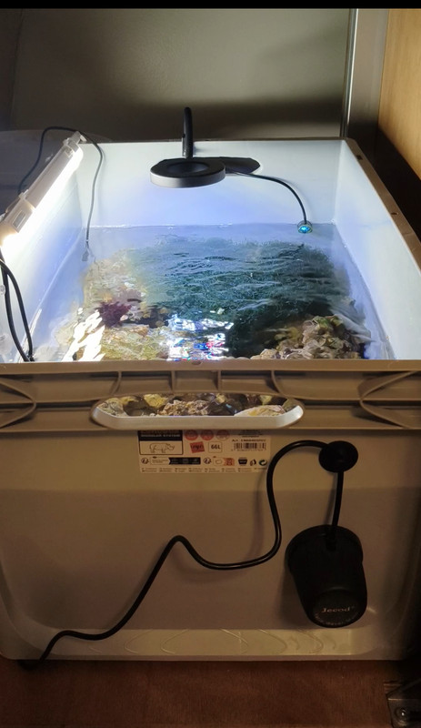 Screenshot 2025 11 08 10 14 02 88 99c04817c0de5652397fc8b56c3b3817