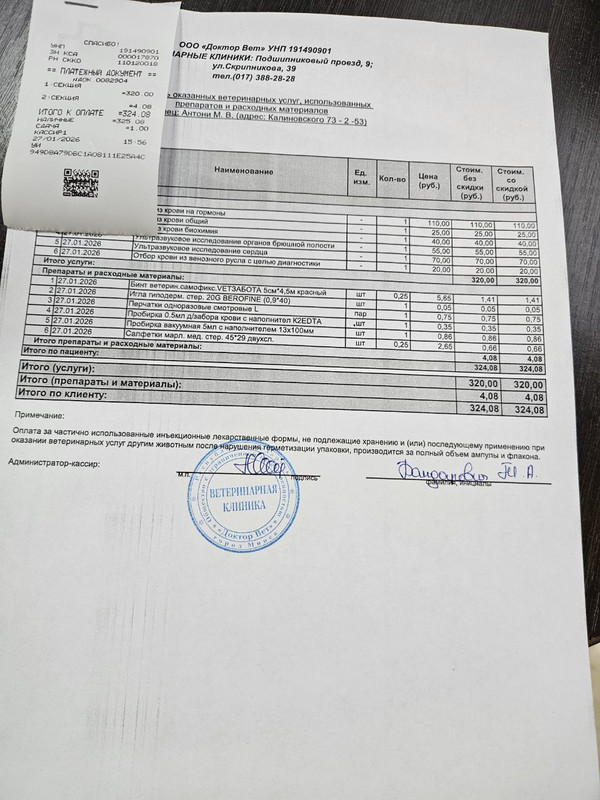 photo 2026 01 28 17 28 52