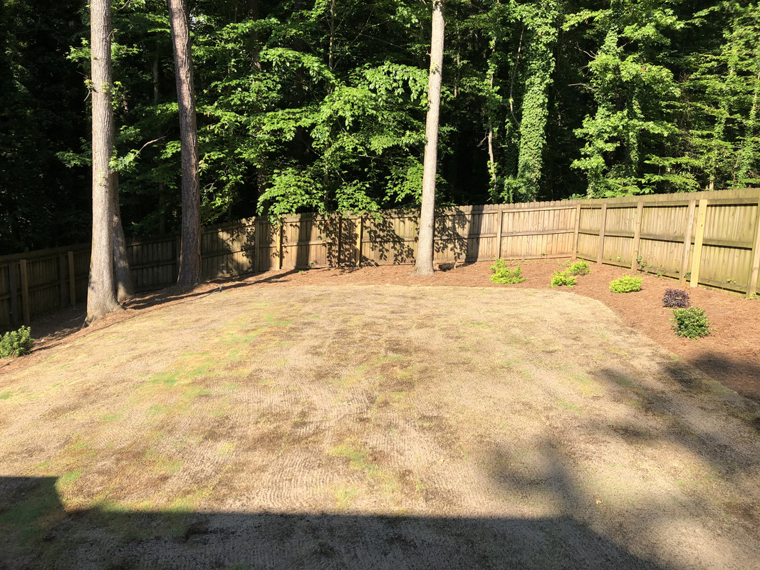 54518AC8-6E80-4CC7-889D-8522BB8CE6CF