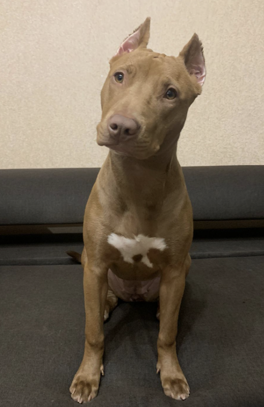 Снимок экрана 2024-05-12 в 21.19.59