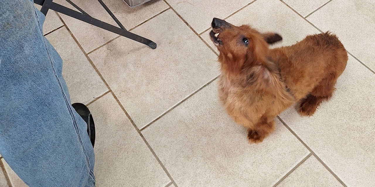 [Image: 20240426-104528.jpg]