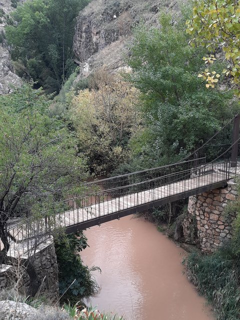 DIA 4. ALBARRACIN. PINTURAS RUPESTRES Y PAISAJE DE LOS PINARES DE RODENO - Rincones perdidos: Sierra de Albarracín y Montes Universales. (3)