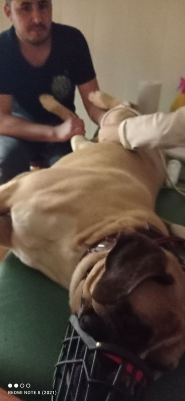 WhatsApp Image 2023-08-02 at 15.13.25 (2)