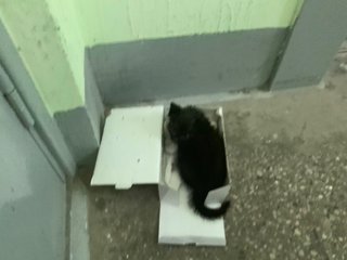 AF8D0F6C-273C-4358-AB48-1B64FB0447DA