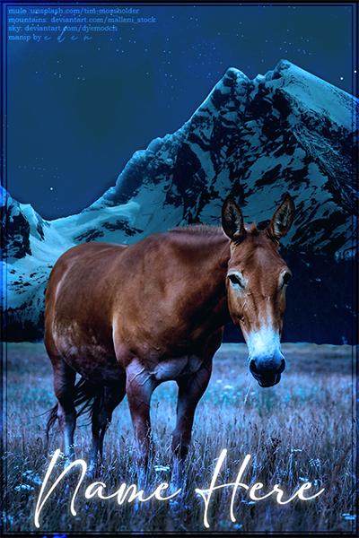 Sale-Photo-mule.png