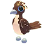 Roadrunner