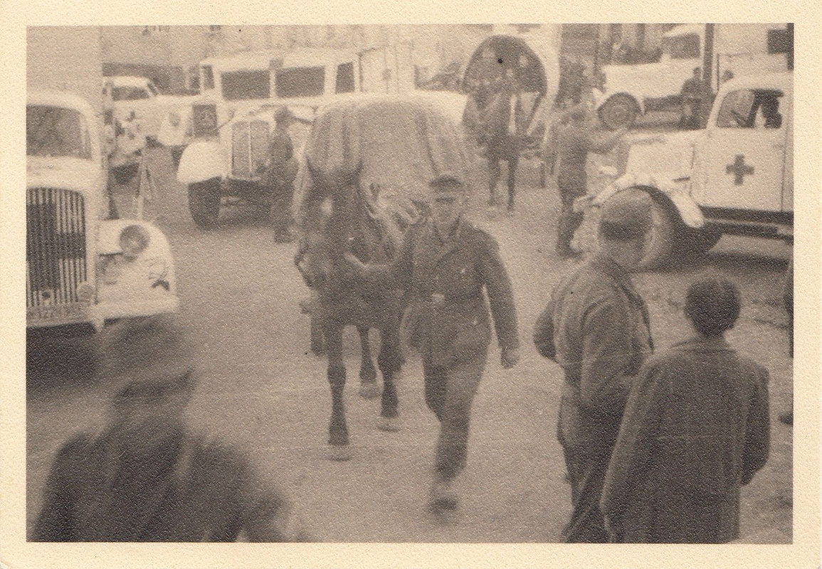 Wehrmacht Sanitäter Sanitätsdienst LKW Lastwagen viele Typen San