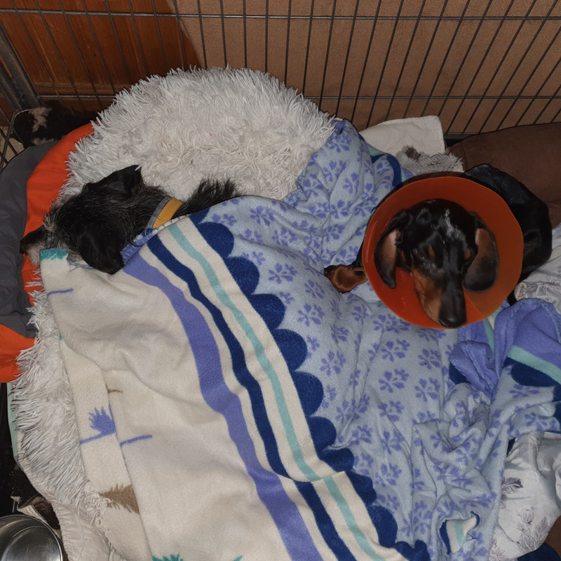 [Image: 20210213-205430.jpg]