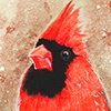 SB04-Colors-red