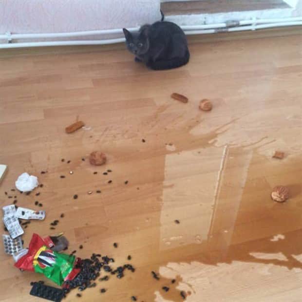 klyker-picdump-11-14-2025-7.jpg