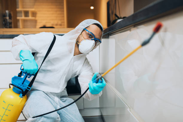 Orlando Termite Treatment