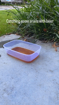 GIF-15.gif