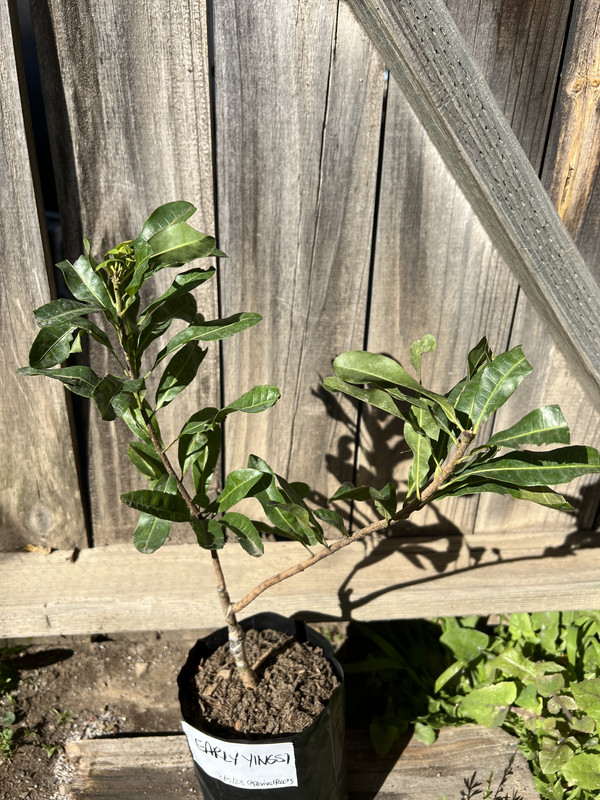 3900F51D-C296-4FEC-9CF2-B61E36594D54