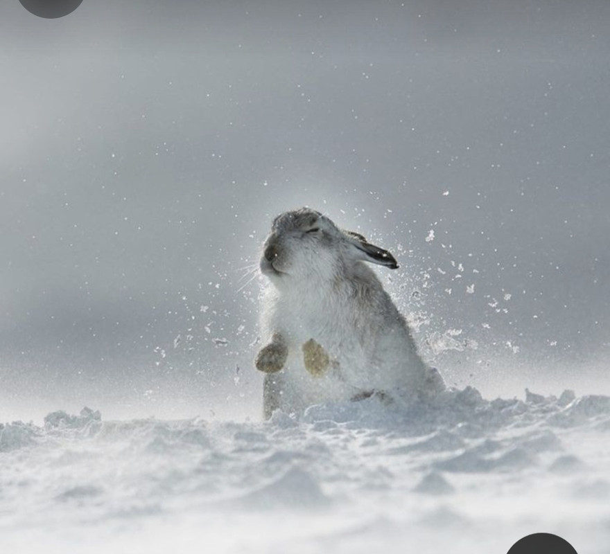 Screenshot_20231219_222759_Pinterest