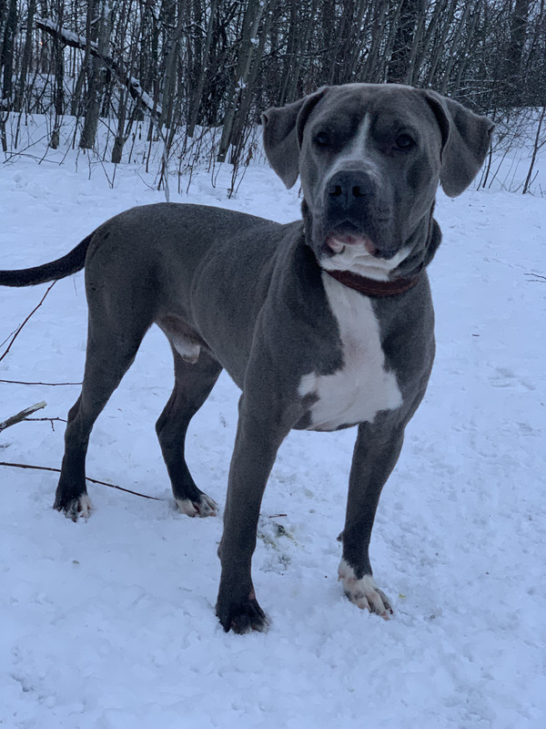 24D85358-10A3-4B92-BA3D-53A5FD9B7864