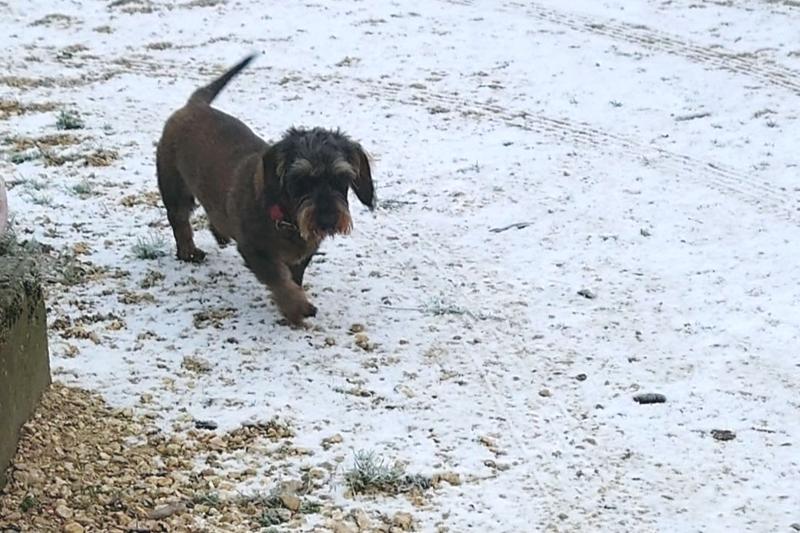 [Image: DSC-0121.jpg]